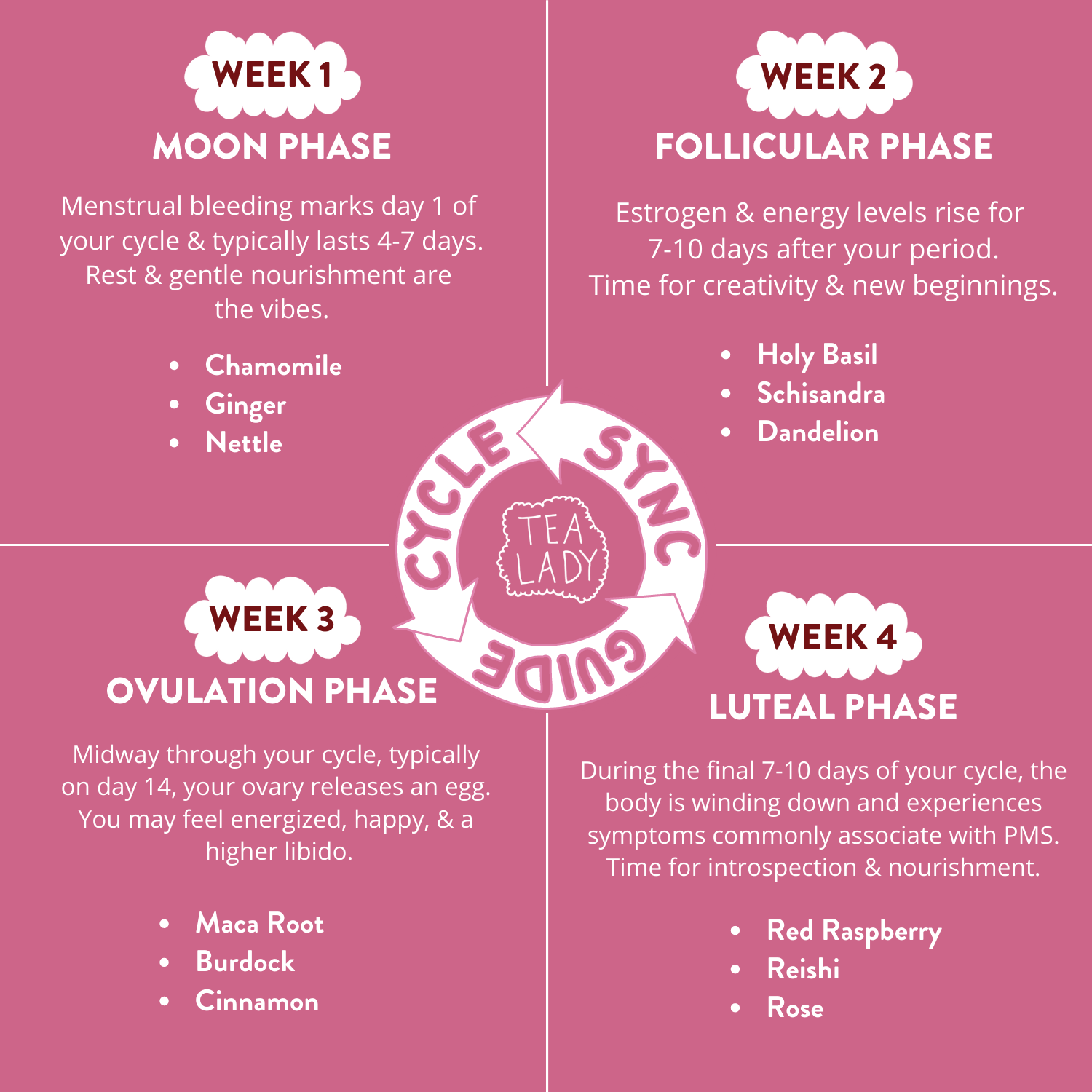 info graphic of a cycle syncing guide explaining each week of the menstral phases and the herbs that help during those phases