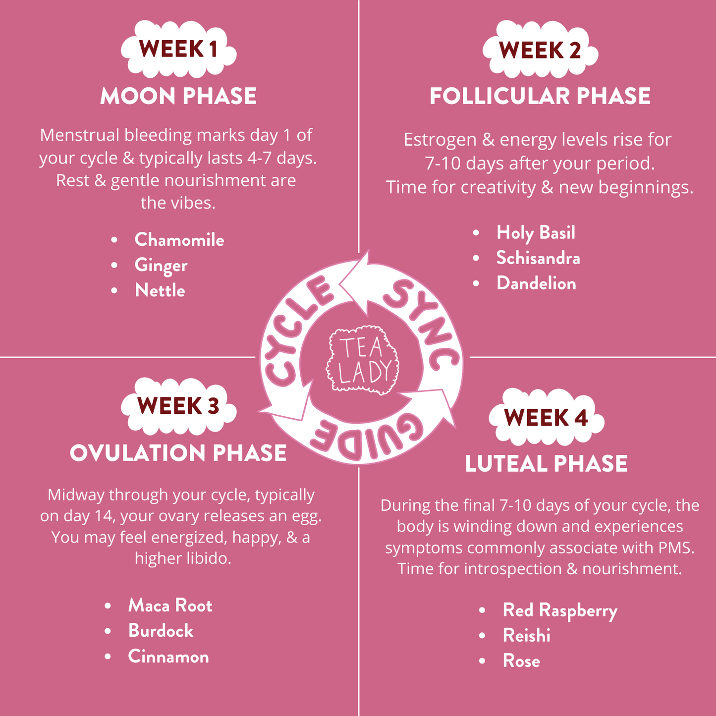 Luteal Phase What Is The Average Ovulation Cycle Luteal Phase