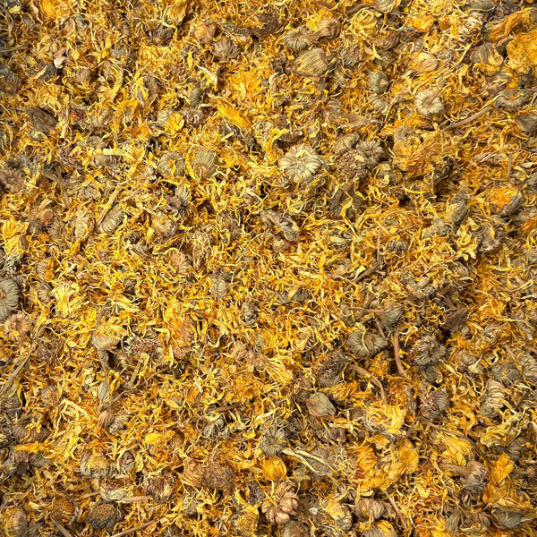 Calendula