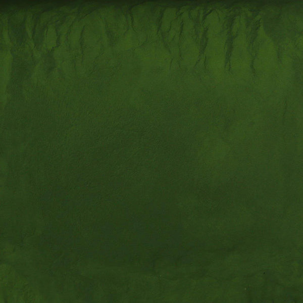 Chlorella