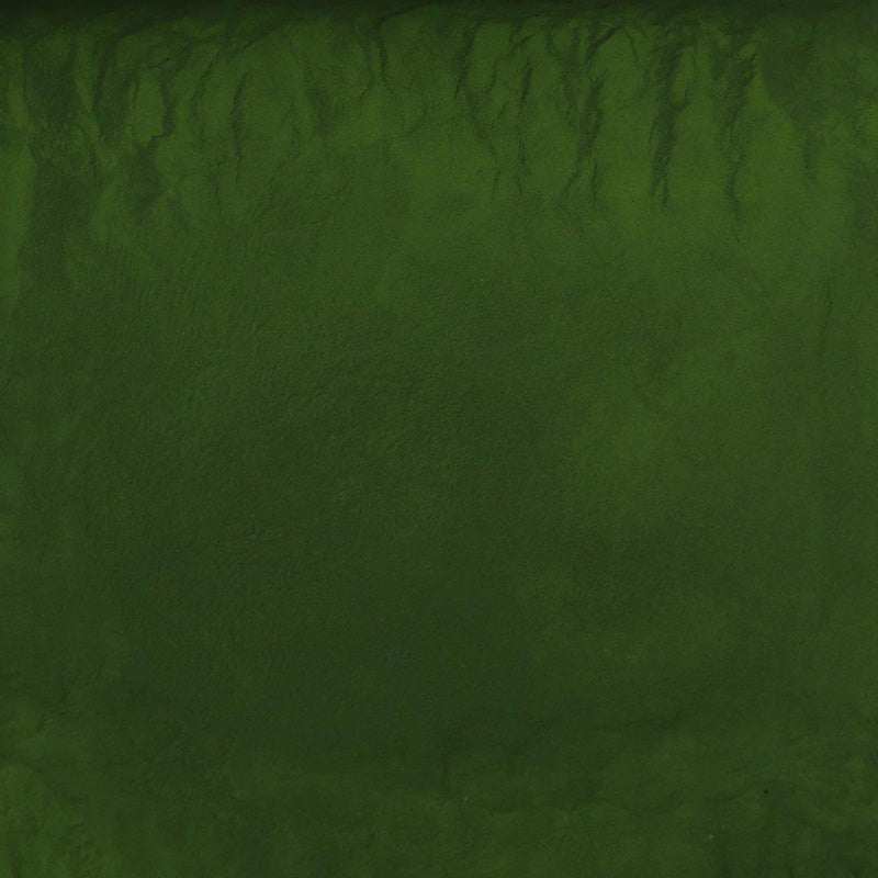 Chlorella